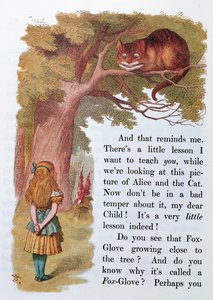 爱丽丝和柴郡猫，来自&39;爱丽丝梦游仙境&39;的插图，于1889年在伦敦出版 作者 艾米丽·格特鲁德·汤姆森（Emily Gertrude Thomson）